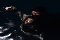 Кадр Понсанская гончая