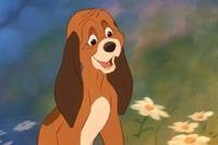 Кадр Лис и пёс