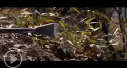 Промо-ролик №2