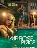 Постер из фильма "Мелроуз Плэйс" - 1