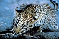 Кадр Бегущие на волю