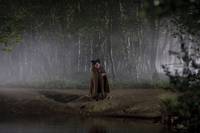 Кадр Мерлин