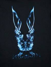 Постер С. Дарко (видео)