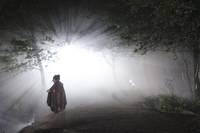 Кадр Мерлин