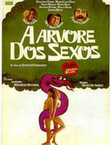 Дерево полов