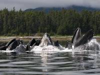 Кадр Океаны