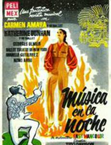 Музыка в ночи