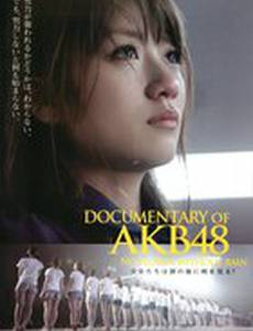 AKB48: Нет цветов без дождя