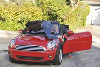 Кадр Город хищниц