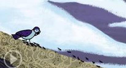 Мультфильм 