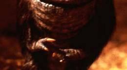 Кадр из фильма "Зубастики" - 1