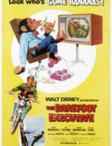 Босой руководитель