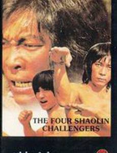 Huang fei hong si da di zi