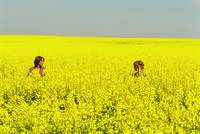 Кадр Все идет по плану