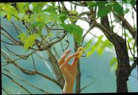 Кадр Я просто люблю тебя