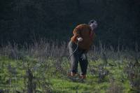 Кадр Реджеп Иведик 3