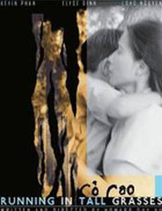 Running in Tall Grasses