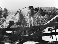 Кадр Gun Brothers