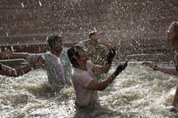 Кадр Цвет шафрана