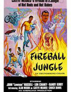 Fireball Jungle