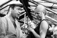 Кадр Kam slunce nechodí