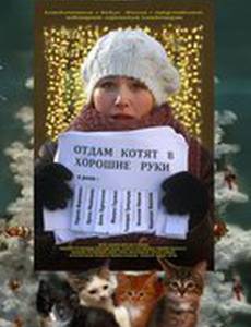 Отдам котят в хорошие руки