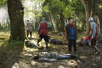 Кадр Мерлин