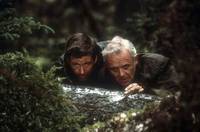 Кадр На грани