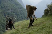 Кадр Черные братья