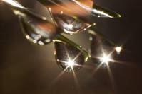 Кадр Зеленая Вселенная