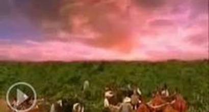 Вступительные титры