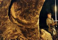 Кадр Кольцо дракона