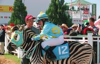 Кадр Бешеные скачки