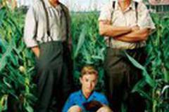 Подержанные львы