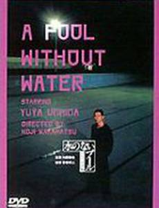 Бассейн без воды