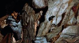 Кадр из фильма "Возвращение в страну Оз" - 2