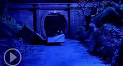 Мультфильм 