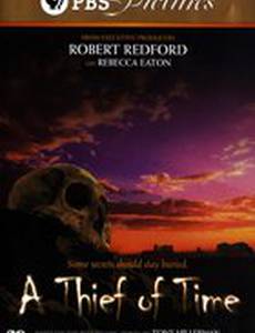 Вор времени