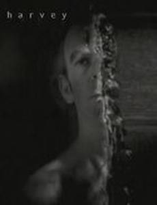 Harvey