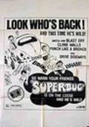 Ein Käfer geht aufs Ganze