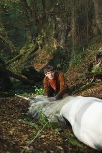 Кадр Мерлин