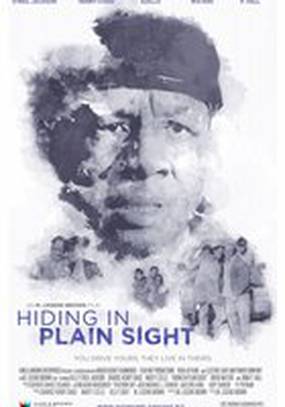 Hiding in Plain Sight