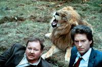 Кадр Шина – королева джунглей