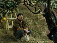 Кадр Мандарины