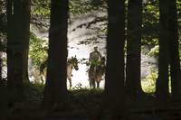 Кадр Мерлин