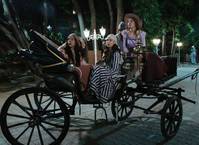 Кадр Королёк – птичка певчая