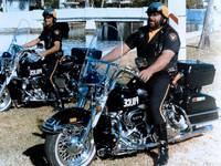 Кадр Борцы с преступностью