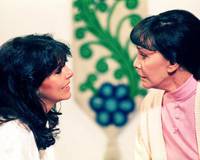 Кадр Дикая роза