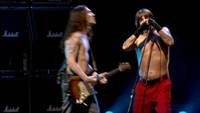 Кадр Red Hot Chili Peppers: Live at Slane Castle (видео)