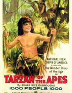 Тарзан, приемыш обезьян